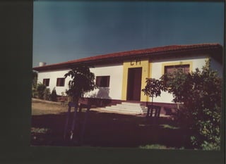 Acervo Firpo: Atuais