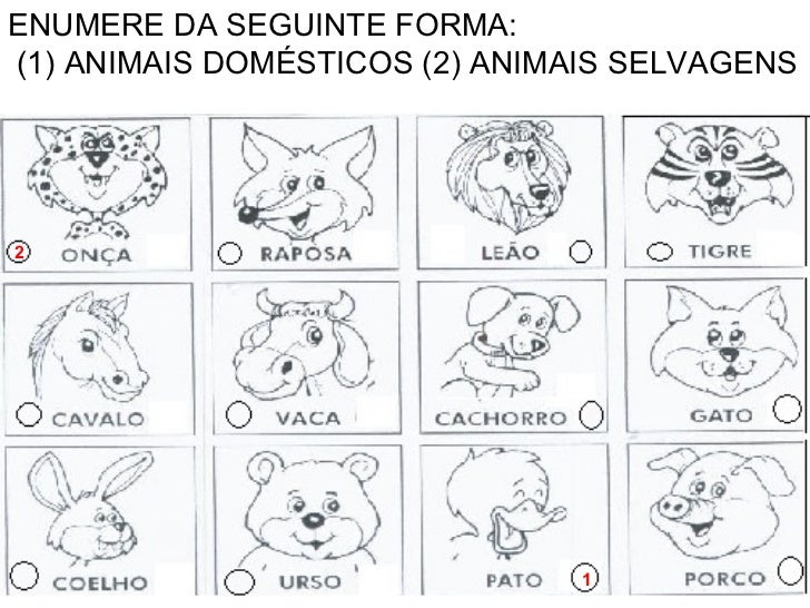 famosos animais selvagens e domesticos educação infantil oj49 ivango