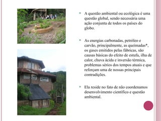 A questão ambiental ou ecológica é uma questão global, sendo necessária uma ação conjunta de todos os países do globo. As energias carbonadas, petróleo e carvão, principalmente, as queimadas*, os gases emitidos pelas fábricas, são causas básicas do efeito de estufa, ilha de calor, chuva ácida e inversão térmica, problemas sérios dos tempos atuais e que reforçam uma de nossas principais contradições. Ela reside no fato de não coordenamos desenvolvimento científico e questão ambiental. 