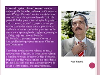 Aldo Rebelo Aprovado  após três adiamentos  e em meio a polêmica e  bate-boca  na Câmara, o novo Código Florestal será encaminhando nos próximos dias para o Senado. Há três possibilidades para a tramitação do projeto: o rito comum, no qual o projeto passa por várias comissões antes de ir a plenário; a união de todas as comissões para tratar do tema; ou a aprovação da urgência, para que o código seja tratado no Senado. No Senado, o governo espera alterar os itens polêmicos que passaram na Câmara dos Deputados Caso haja mudança em relação ao texto aprovado na Câmara, os deputados voltam a analisar o texto do novo Código Florestal. Depois, o código vai à sanção da presidente Dilma Rousseff, que tem a prerrogativa de vetar o texto parcial ou integralmente. 