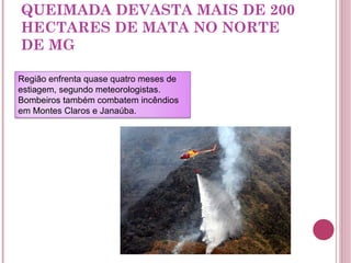 QUEIMADA DEVASTA MAIS DE 200 HECTARES DE MATA NO NORTE DE MG Região enfrenta quase quatro meses de estiagem, segundo meteorologistas. Bombeiros também combatem incêndios em Montes Claros e Janaúba. 