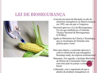LEI DE BIOSEGURANÇA A novela em torno da liberação ou não de alimentos transgênicos no Brasil começou em 1995, ano em que o Congresso Nacional aprovou a Lei de Biossegurança. Foi ela que estabeleceu a Comissão Técnica Nacional de Biossegurança (CNTBio), ligada ao Ministério da Ciência e Tecnologia, que se encarregou de formular uma política para o setor. Dois anos depois, a comissão aprovou o cultivo comercial da soja transgênica Roundup ready, da empresa multinacional Monsanto. Em seguida, o Instituto Brasileiro de Defesa do Consumidor (Idec) entrou com uma ação na justiça e conseguiu barrar a liberação, com o argumento de que o plantio de produtos transgênicos só poderia ser liberado depois da realização de estudos de impacto ambiental. 