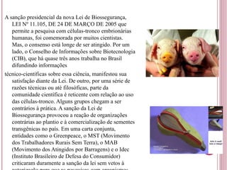 A sanção presidencial da nova Lei de Biossegurança, LEI Nº 11.105, DE 24 DE MARÇO DE 2005 que permite a pesquisa com células-tronco embrionárias humanas, foi comemorada por muitos cientistas. Mas, o consenso está longe de ser atingido. Por um lado, o Conselho de Informações sobre Biotecnologia (CIB), que há quase três anos trabalha no Brasil difundindo informações técnico-científicas sobre essa ciência, manifestou sua satisfação diante da Lei. De outro, por uma série de razões técnicas ou até filosóficas, parte da comunidade científica é reticente com relação ao uso das células-tronco. Alguns grupos chegam a ser contrários à prática. A sanção da Lei de Biossegurança provocou a reação de organizações contrárias ao plantio e à comercialização de sementes transgênicas no país. Em uma carta conjunta, entidades como o Greenpeace, o MST (Movimento dos Trabalhadores Rurais Sem Terra), o MAB (Movimento dos Atingidos por Barragens) e o Idec (Instituto Brasileiro de Defesa do Consumidor) criticaram duramente a sanção da lei sem vetos à autorização para que as pesquisas com organismos geneticamente modificados sejam realizadas sem estudos de impacto ambiental pelo Ministério do Meio Ambiente. 
