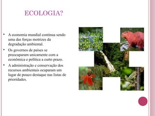 ECOLOGIA? A economia mundial continua sendo uma das forças motrizes da degradação ambiental. Os governos de países se preocuparam unicamente com a econômica e política a curto prazo. A administração e conservação dos recursos ambientais ocuparam um lugar de pouco destaque nas listas de prioridades. 