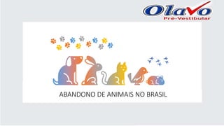 ABANDONO DE ANIMAIS NO BRASIL
 