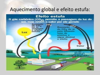 Lembre: “Auto-suficiência” 2006;