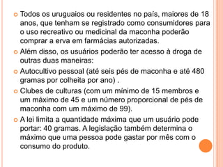  Todos os uruguaios ou residentes no país, maiores de 18
anos, que tenham se registrado como consumidores para
o uso recreativo ou medicinal da maconha poderão
comprar a erva em farmácias autorizadas.
 Além disso, os usuários poderão ter acesso à droga de
outras duas maneiras:
 Autocultivo pessoal (até seis pés de maconha e até 480
gramas por colheita por ano) .
 Clubes de culturas (com um mínimo de 15 membros e
um máximo de 45 e um número proporcional de pés de
maconha com um máximo de 99).
 A lei limita a quantidade máxima que um usuário pode
portar: 40 gramas. A legislação também determina o
máximo que uma pessoa pode gastar por mês com o
consumo do produto.
 