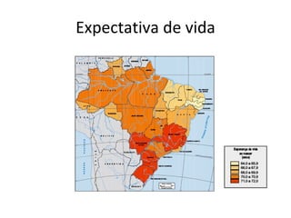 Expectativa de vida 
