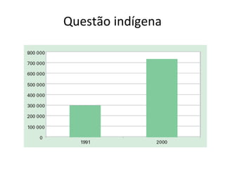 Questão indígena 