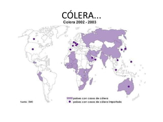 CÓLERA... 