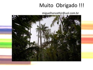   Muito  Obrigado !!! [email_address] 