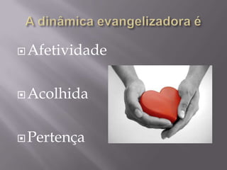  Afetividade

 Acolhida

 Pertença

 