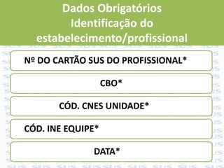 Dados Obrigatórios
Identificação do
estabelecimento/profissional
Nº DO CARTÃO SUS DO PROFISSIONAL*
CBO*
CÓD. CNES UNIDADE*
CÓD. INE EQUIPE*
DATA*
 