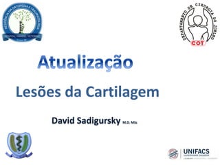 David Sadigursky M.D. MSc
Lesões da Cartilagem
 