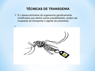 TÉCNICASTÉCNICAS DE TRANSGENIA
 È o desenvolvimento de organismos geneticamente
modificados que dentre outras possibilidades, podem ser
incapazes de transportar o agente da parasitose.
I
 