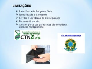  Identificar e isolar genes úteis
 Identificação e Clonagem
 CNTBio e Legislação de Biossegurança
 Recursos financeiro
 A maior parte das parasitoses são consideras
doenças negligenciada.
 