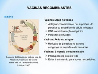 Vacinas: Ação no fígado
 Antígeno-recombinante da superfície do
parasita ou superfície da célula infectada
 DNA com informação antigênica
 Parasitos atenuados
Vacinas: Ação no sangue
 Redução de parasitas no sangue -
antígenos na superfície de hemácias.
Vacinas: Bloqueio de transmissão
 Interrupção do ciclo de vida
 Evitar transmissão para novos hospedeiros.
Malária
VACINAS RECOMBINANTESVACINAS RECOMBINANTES
Esquema do bloqueio do ciclo de vida do
Plasmodium com uso da vacina
Fonte: The PATH Malaria Vaccine
Initiative, 2007
 