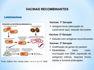 Vacinas: 1ª Geração
 Antígeno bruto (atenuação do
Leishmania spp): redução das lesões
Vacinas: 2ª Geração
 Estudos com antígenos recombinantes.
Vacinas: 3ª Geração
 Codificação de genes do parasito
 Estabilidade, baixo custo,
imunização com DNA, expressão de
antígenos nativos. resposta imune
celular e humoral prolongada.Fonte: SaBios: Rev. Saúde e Biol., v.4, n.1, p.1-11, 2009
LeishmanioseLeishmaniose
VACINAS RECOMBINANTESVACINAS RECOMBINANTES
 