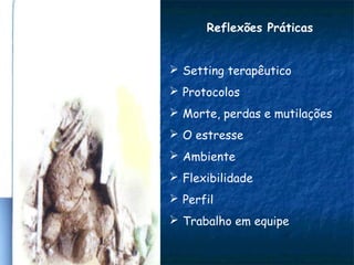 Reflexões Práticas
 Setting terapêutico
 Protocolos
 Morte, perdas e mutilações
 O estresse
 Ambiente
 Flexibilidade
 Perfil
 Trabalho em equipe
 