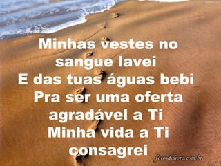 Minhas vestes no
sangue lavei
E das tuas águas bebi
Pra ser uma oferta
agradável a Ti
Minha vida a Ti
consagrei

 