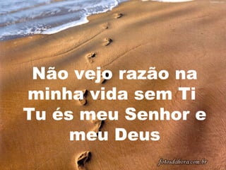 Não vejo razão na
minha vida sem Ti
Tu és meu Senhor e
meu Deus

 