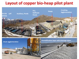 Layout of copper bio-heap pilot plant
Heaps
Auxiliary, Ponds
PLS,
Raffinate
Ponds
Crushing,
Agglomeration
SX-EW (off
photo)
Drum agglomeration
Humidification layer with drainage pipes
 
