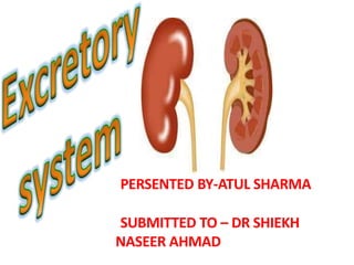 PERSENTED BY-ATUL SHARMA
SUBMITTED TO – DR SHIEKH
NASEER AHMAD
 