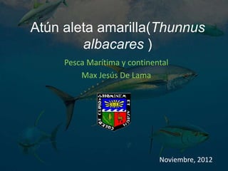Atún aleta amarilla(Thunnus
        albacares )
     Pesca Marítima y continental
         Max Jesús De Lama




                              Noviembre, 2012
 