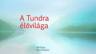 A Tundra
élővilága
Biológia
bemutatóm
 