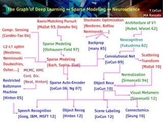 Y LeCun
MA Ranzato
The Graph of Deep Learning Sparse Modeling Neuroscience↔ ↔
Architecture of V1
[Hubel, Wiesel 62]
Basis/...