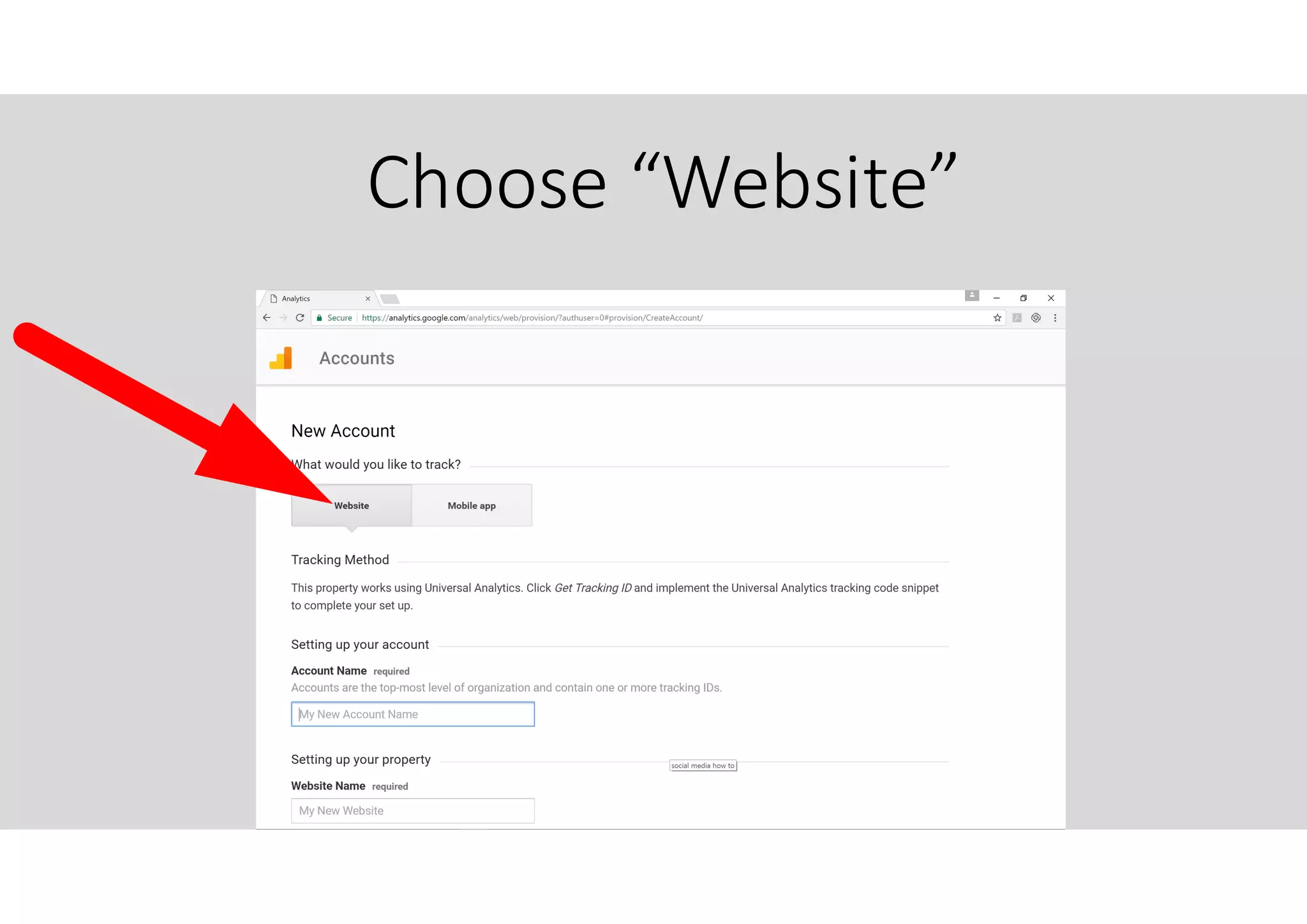 Choose “Website”
 