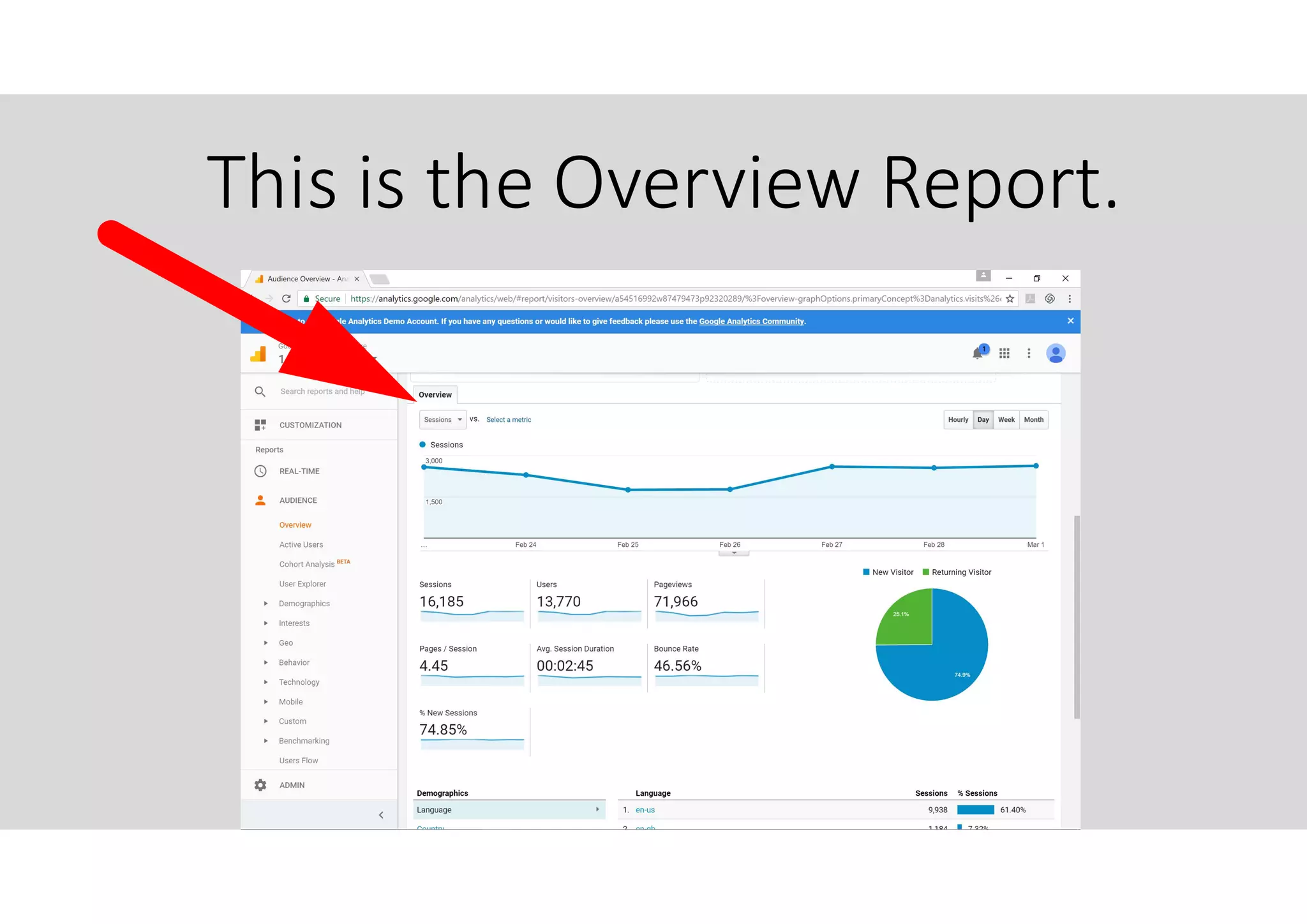 This is the Overview Report.
 
