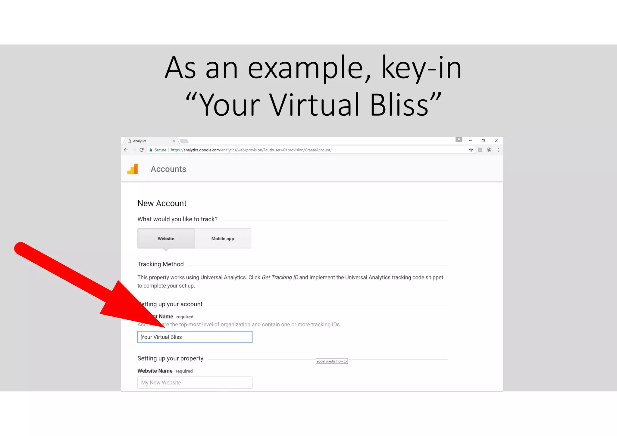 As an example, key-in
“Your Virtual Bliss”
 
