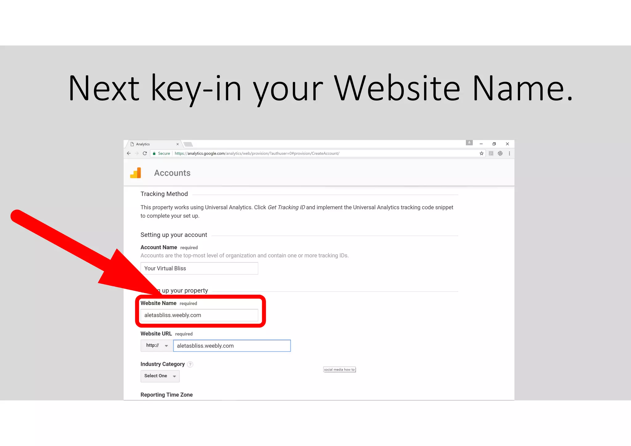 Next key-in your Website Name.
 