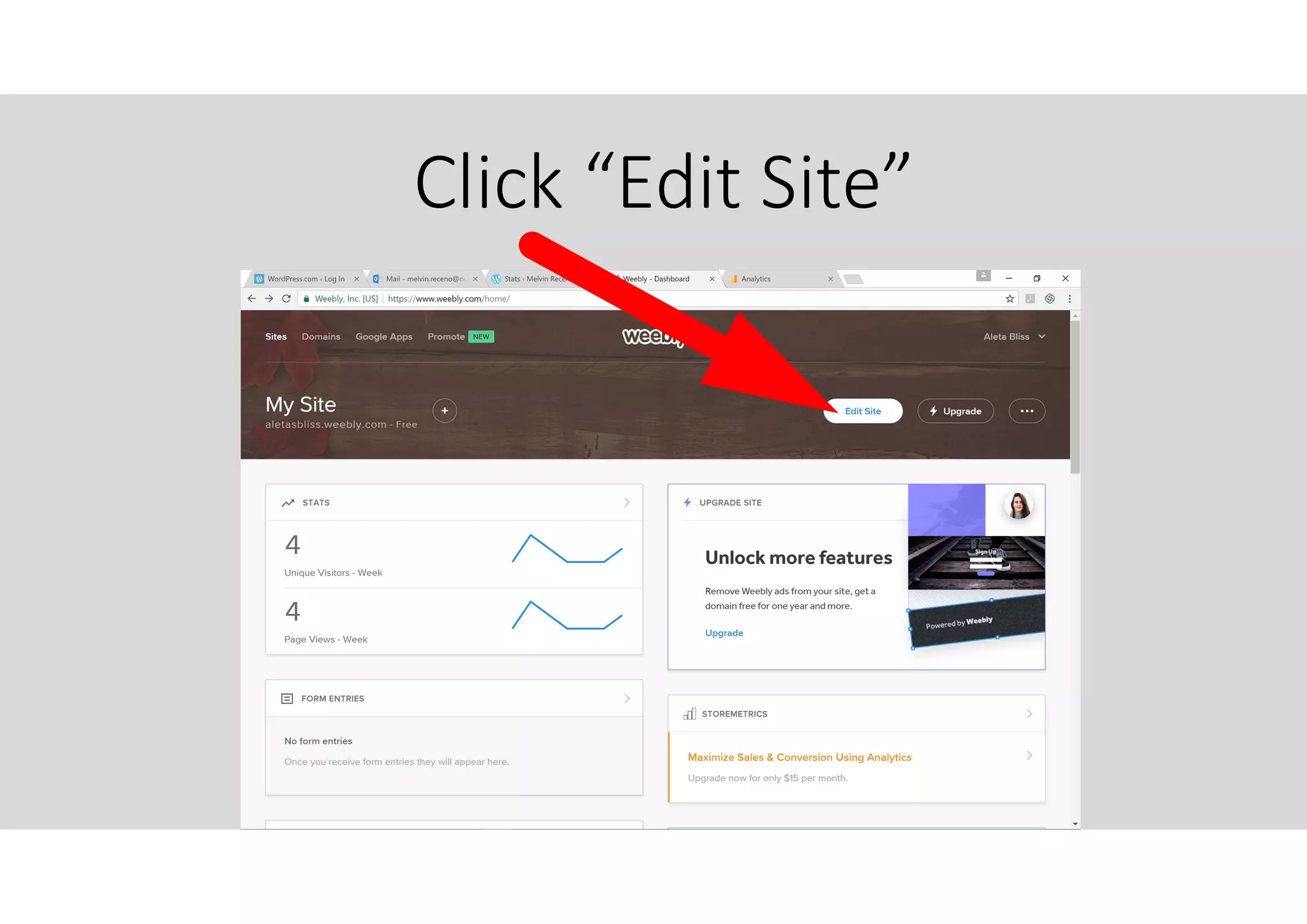 Click “Edit Site”
 