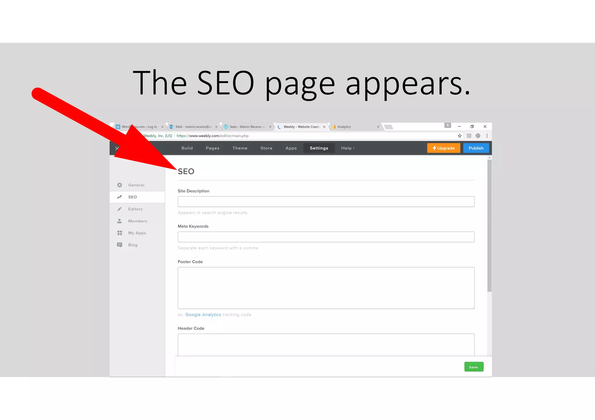 The SEO page appears.
 