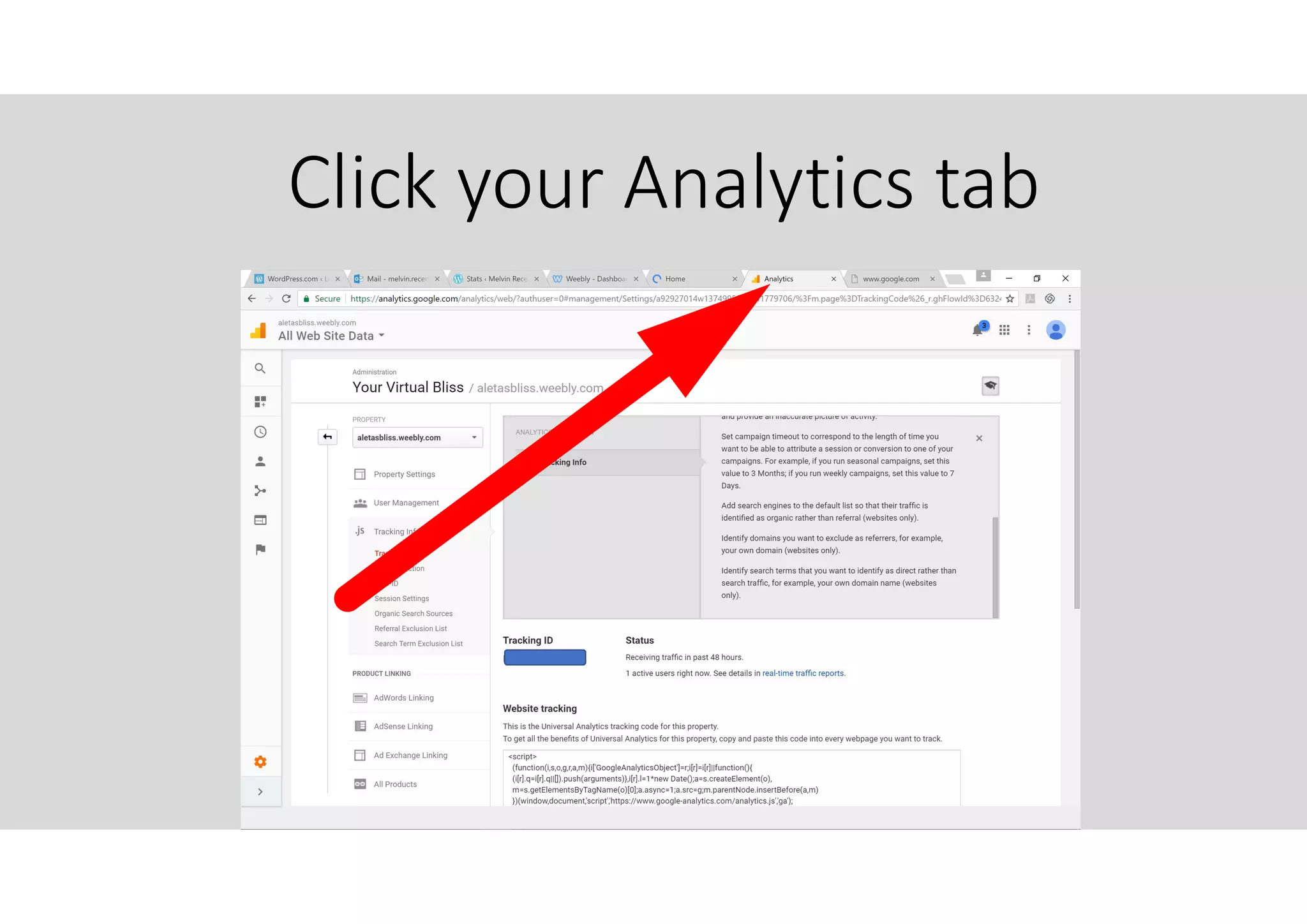 Click your Analytics tab
 