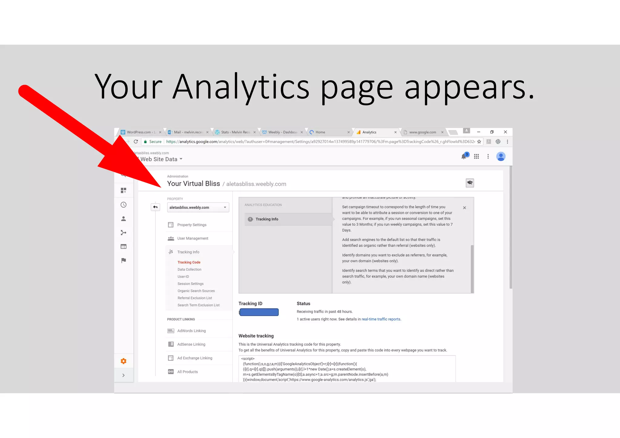 Your Analytics page appears.
 