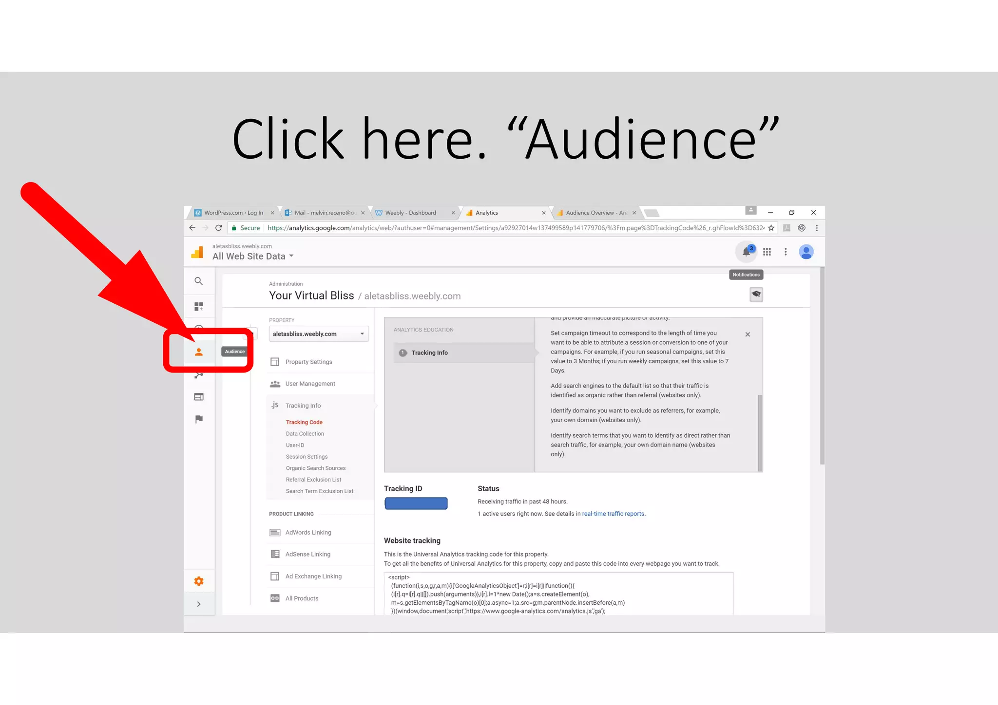 Click here. “Audience”
 