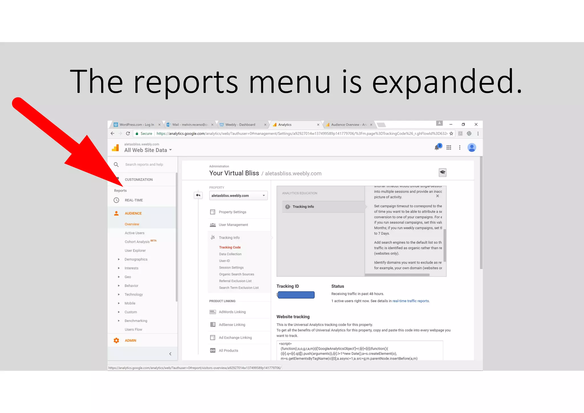 The reports menu is expanded.
 