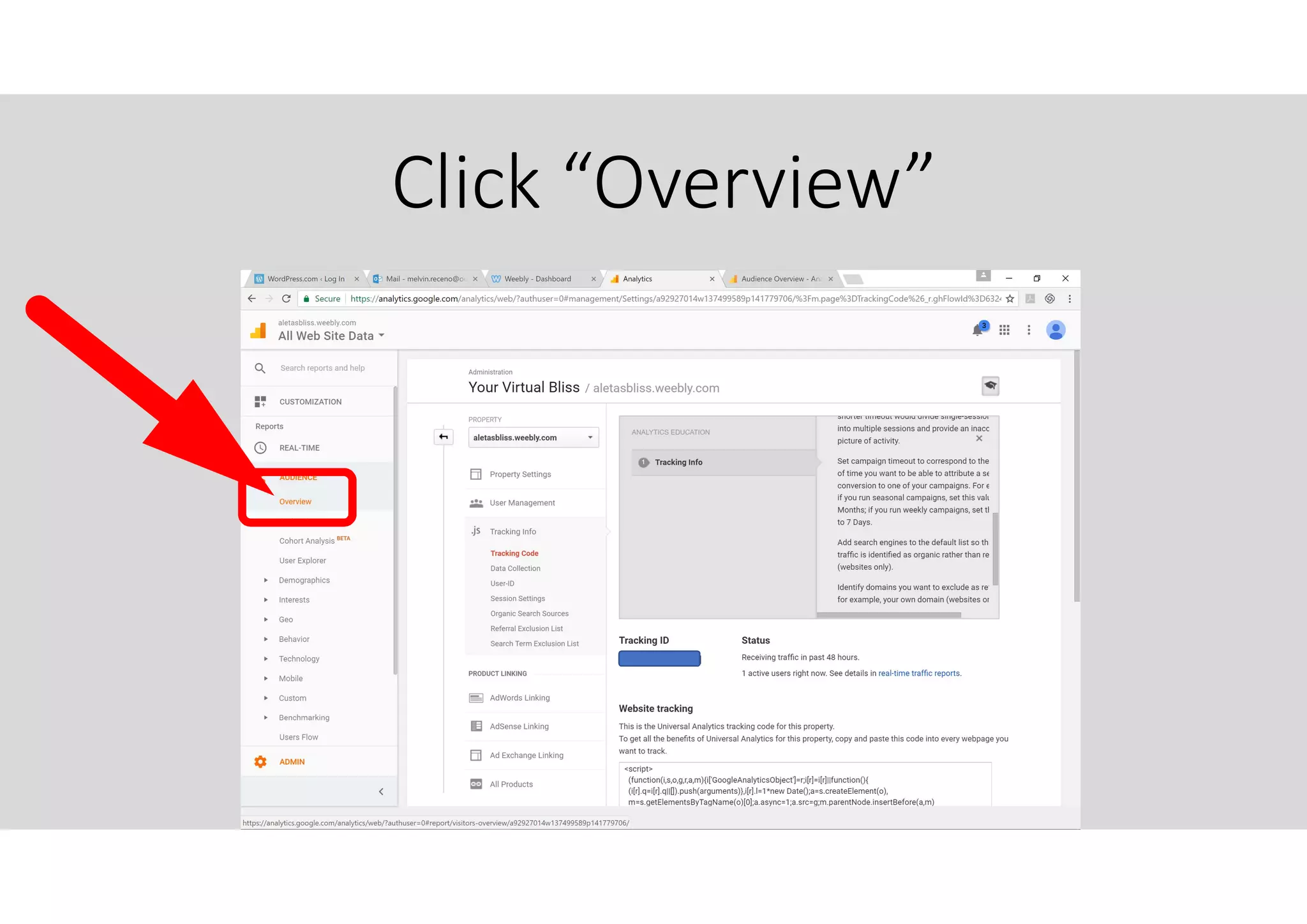 Click “Overview”
 