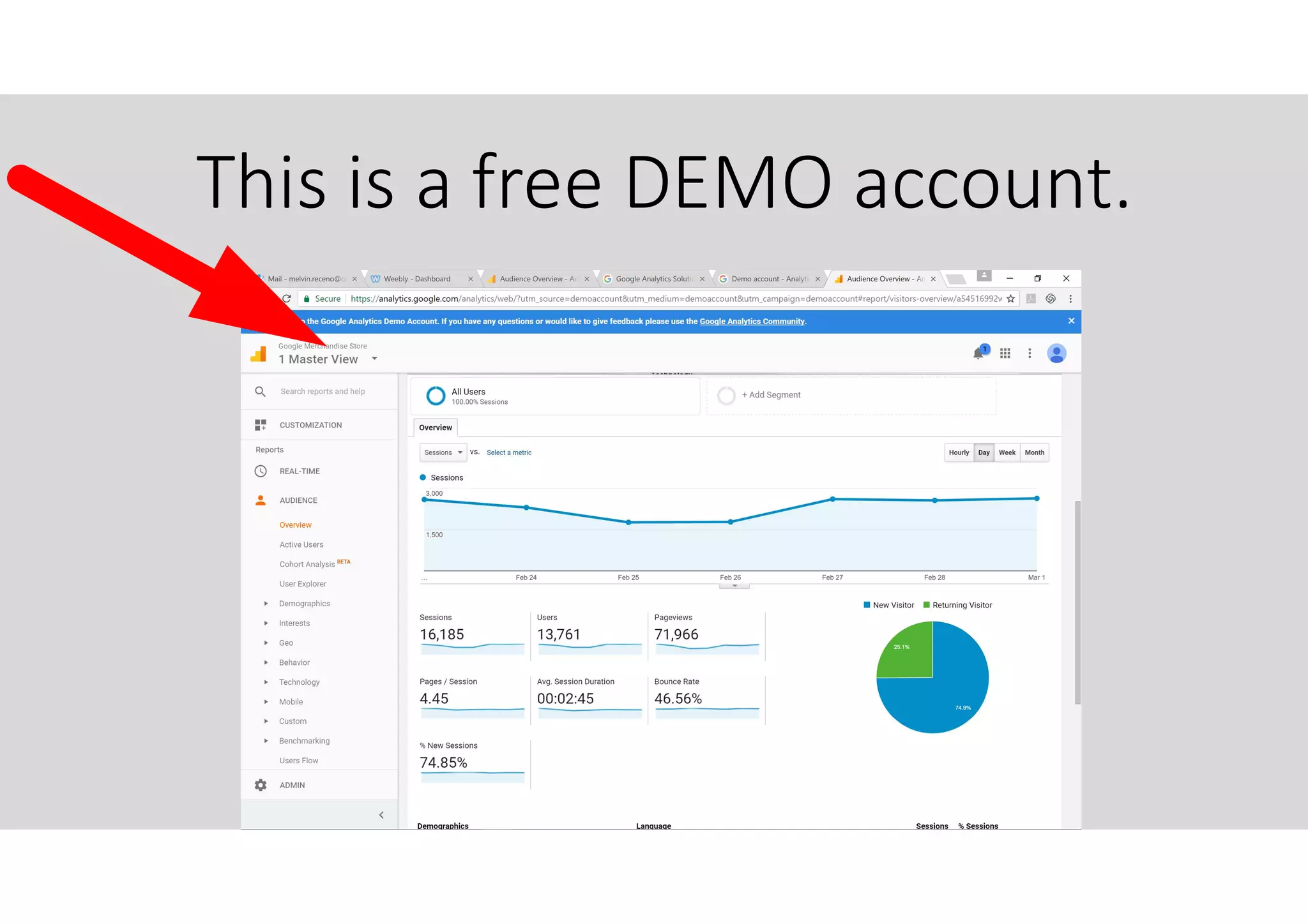 This is a free DEMO account.
 