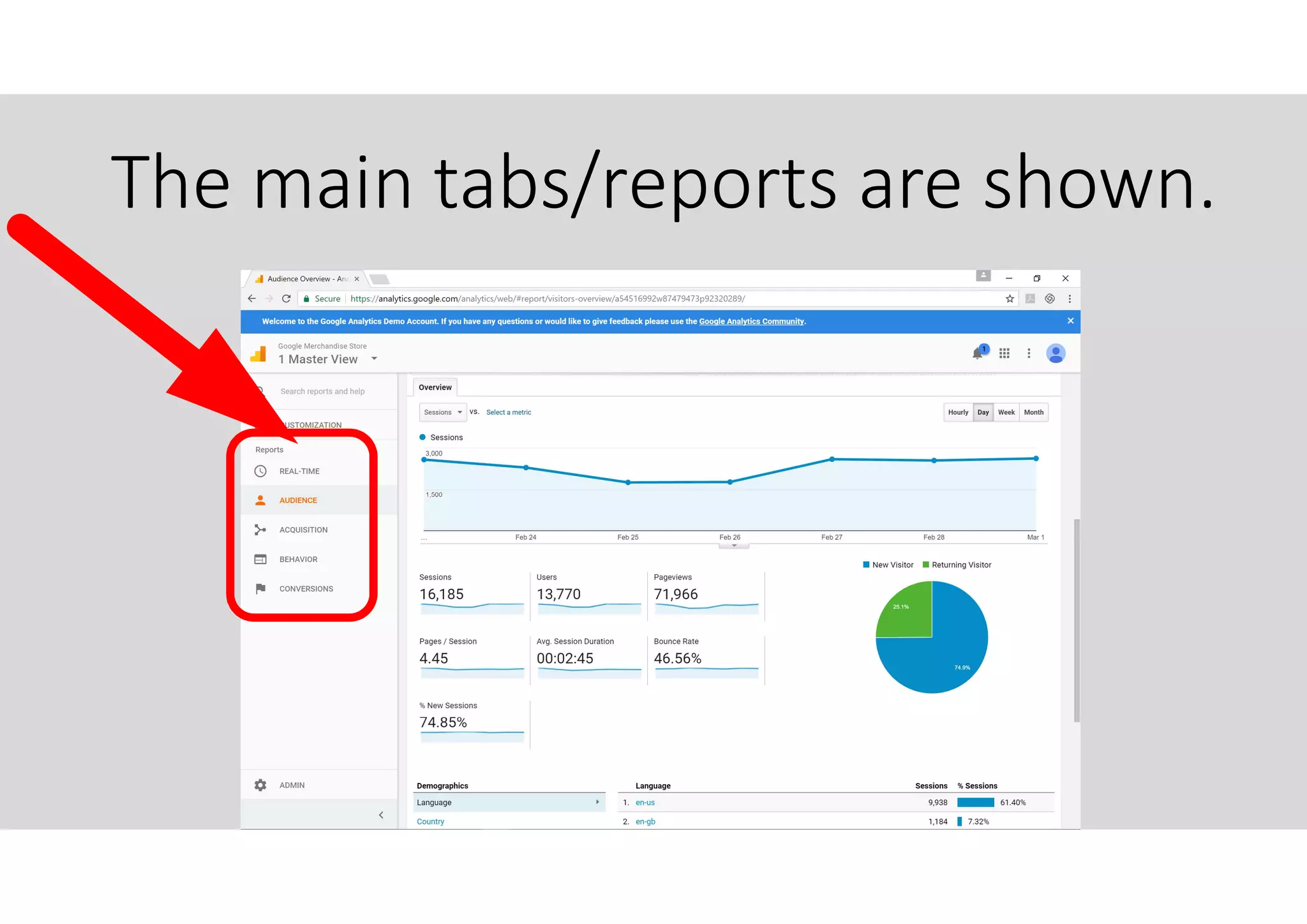 The main tabs/reports are shown.
 