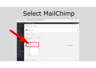 Select MailChimp
melvinreceno.com_themagnificentpm
 