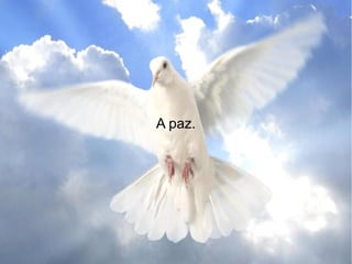 A paz.
 