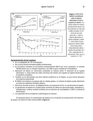 Apunte Teórico IV 32
Figura 3. Efecto de la
leptina recombinante
sobre la ingesta
alimentaria y el peso
corporal en ratones. Los
ratones ob/ob son ratones
genéticamente obesos con
una mutación en el gen que
codifica la leptina. A y B,
efecto de una sola
inyección i.v. sobre la
ingesta alimentaria en
ratones delgados y ob/ob.
C, efecto sobre el peso
corporal en ratones ob/ob,
de dos inyecciones
intraperitoneales diarias
durante dos períodos de 5
días, separadas por un
intervalo de 2 días. (Datos de
Campfield et al., 1995).
Caracterización de las Leptinas
•
•
•
•
•
•
•
•
•
Es un polipéptido de 167 aminoácidos.
No cruza la barrera hematoencefálica directamente.
En los plexos coroideos se encuentran transportadores OB-R (con cinco variantes). La variante
OB-Rb parece ser un receptor específico y se halla en gran cantidad en el hipotálamo.
Aplicación de leptina en ventrículos cerebrales en ratones ob/ob " reducción de la ingesta
alimentaria => actúa sobre las redes nerviosas del cerebro que regulan la ingesta alimentaria y
el equilibrio energético.
También se ha demostrado que tiene efectos periféricos en el hígado, ya que induce descenso
de la lipemia posprandial.
El ARNm de la leptina se expresa sólo en células grasas. La síntesis de leptina puede detectarse
en todos los depósitos del tejido adiposo.
Disminuye durante el ayuno, el adelgazamiento y la exposición al frío, lo cual favorece la ingesta.
La generación de leptina en el tejido graso aumenta por efecto de glucocorticoides, estrógenos y,
posiblemente, insulina; también aumenta con la inyección de neuropéptido Y (NPY) o durante la
alimentación.
Los agonistas de los receptores β-adrenérgicos la reducen.
En personas sanas, la concentración de leptina en la circulación es proporcional a las reservas
de grasa y al índice de masa corporal (IMC) (Figura 4).
 