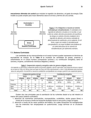 Apunte Teórico IV 36
mecanismos eferentes de control que modulan la ingestión de alimentos y el gasto de energía. Este
modelo se puede ampliar para incluir elementos clave en el inicio y término de una comida.
Controlador =
Encéfalo
Sistema Controlado
Grasa
Señales
aferentes
Señales
eferentes
Figura 7. En el diagrama se muestra un sistema
controlado por retroalimentación. El controlador de la
ingestión de alimento se localiza en el encéfalo, el cual
recibe las señales aferentes provenientes de la periferia y
las integra en controles eferentes modulares de la
ingestión de alimento y del sistema controlado de
almacenamiento de nutrimentos y de la oxidación. De tal
forma, según este modelo, la obesidad puede
conceptualizarse con mayor facilidad como problema de
un control defectuoso de los sistemas de
retroalimentación, por nutrimentos normales.
7.1. Sistema Controlado
Las cantidades de los macronutrientes en el cuerpo humano pueden expresarse en términos de
equivalentes de energía. En la Tabla II se muestran las cantidades de grasas, proteínas y
carbohidratos en el cuerpo humano (composición química) y su contribución energética, tanto en
varones y mujeres, considerando individuos delgados y obesos.
Tabla II. Composición corporal y energética sobre los géneros delgado y obeso.
A la izquierda se representa la composición química de personas delgadas y obesas expresadas como proporción del peso corporal
de un varón de 70 kg y de 100 kg y para una mujer de 65 kg y de 95 kg respectivamente, es decir, 30 kg adicionales para la persona
obesa de cada género. A la derecha se muestra la contribución correspondiente de la energía a partir de esta composición química.
Composición química (en kg) Contribución energética
Varón Mujer Varón Mujer
delgado obeso delgada obesa delgado obeso delgada obesa
Grasa 10 31 10 35 150.000 kcal
(86%)
260.000 kcal
(87%)
170.000 kcal
(92%)
345.000 kcal
(94%)
Proteínas 12 12 10 11
Agua 42 48 40 42
Otros 6 9 5 7
25.000 kcal
(14%)
40.000 kcal
(13%)
15.000 kcal
(8%)
20.000 kcal
(6%)
Total 70 100 65 95 100 100 100 100
Existen dos vías principales para la asimilación de los nutrientes desde la luz del intestino al
interior del cuerpo (sistema controlado):
1. absorción de nutrimentos (aminoácidos, monosacáridos, nucleótidos, ácidos grasos libres) a
través de la mucosa a través de transporte facilitado hacia la vena porta y luego al hígado.
2. absorción a través de los vasos quilíferos del linfático, los cuales transportan los triacilgliceroles
que los entericitos han empaquetado en quilomicrones. Luego terminan en la circulación
venosa.
 