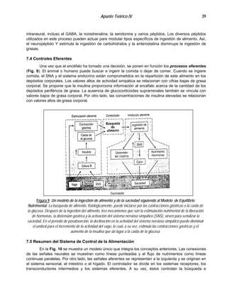 Apunte Teórico IV 39
intraneural, incluso el GABA, la noradrenalina, la serotonina y varios péptidos. Los diversos péptidos
utilizados en este proceso pueden actuar pare modular tipos específicos de ingestión de alimento. Así,
el neuropéptido Y estimula la ingestión de carbohidratos y la enterostatina disminuye la ingestión de
grasas.
7.4 Controles Eferentes
Una vez que el encéfalo ha tomado una decisión, se ponen en función los procesos eferentes
(Fig. 9). El animal o humano puede buscar e ingerir la comida o dejar de comer. Cuando se ingiere
comida, el SNA y el sistema endocrino están comprometidos en la repartición de este alimento en los
depósitos corporales. Los valores altos de actividad simpática se relacionan con cifras bajas de grasa
corporal. Se propone que la insulina proporciona información al encéfalo acerca de la cantidad de los
depósitos periféricos de grasa. La ausencia de glucocorticoides suprarrenales también se vincula con
valores bajos de grasa corporal. Por otro lado, las concentraciones de insulina elevadas se relacionan
con valores altos de grasa corporal.
Figura 9. Un modelo de la ingestión de alimento y de la saciedad siguiendo al Modelo de Equilibrio
Nutrimental. La búsqueda de alimento, fisiológicamente, puede iniciarse por las contracciones gástricas o la caída de
la glucosa. Después de la ingestión del alimento, tres mecanismos que son la estimulación nutrimental de la liberación
de hormonas, la distensión gástrica y la activación del sistema nervioso simpático (SNS), sirven para señalizar la
saciedad. En el período de posabsorción, la declinación en la actividad del sistema nervioso simpático puede disminuir
el umbral para el incremento de la actividad del vago, lo cual, a su vez, estimula las contracciones gástricas y el
aumento de la insulina que da lugar a la caída de la glucosa.
7.5 Resumen del Sistema de Control de la Alimentación
En la Fig. 10 se muestra un modelo único que integra los conceptos anteriores. Las conexiones
de las señales neurales se muestran como líneas punteadas y el flujo de nutrimentos como líneas
continuas paralelas. Por otro lado, las señales aferentes se representan a la izquierda y se originan en
el sistema sensorial, el intestino o el hígado. El controlador se divide en los sistemas receptores, los
transconductores intermedios y los sistemas eferentes. A su vez, éstos controlan la búsqueda e
 
