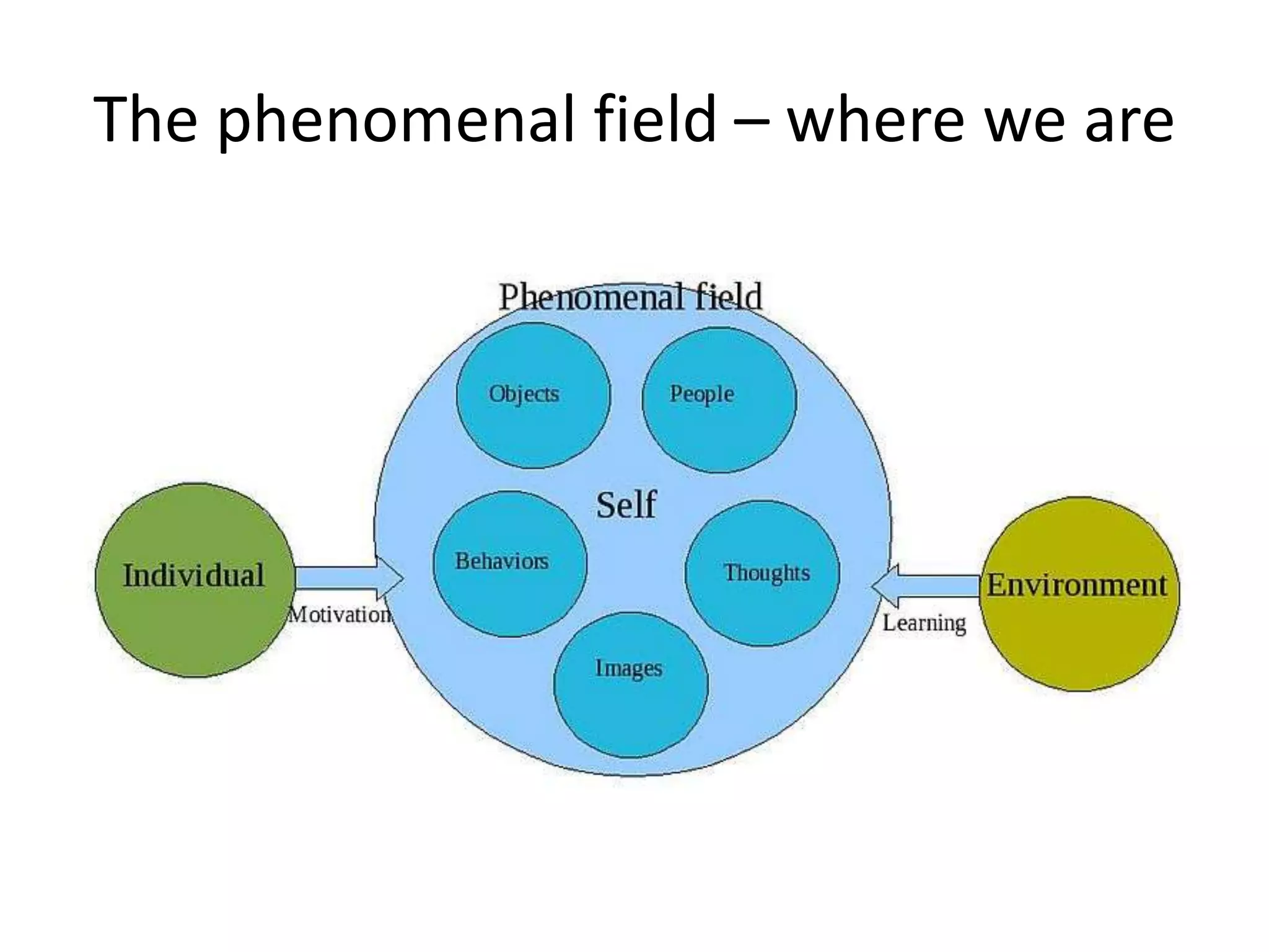 The phenomenal field – where we are
 