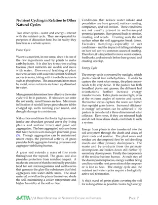 //A BRIEF OVERVIEW OF NUTRIENT CYCLING IN PASTURES PAGE 7
Nutrient Cycling in Relation to Other
Natural Cycles
Two other cycles—water and energy—interact
with the nutrient cycle. They are separated for
purposes of discussion here, but in reality they
function as a whole system.
Water Cycle
Water is a nutrient, in one sense, since it is one of
the raw ingredients used by plants to make
carbohydrates. It is also key to nutrient cycling
because plant nutrients are soluble and move
with water. Downward leaching of plant
nutrients occurs with water movement. Soil itself
moves in water, taking with it insoluble nutrients
such as phosphorus. The area around roots must
be moist, since nutrients are taken up dissolved
in water.
Management determines how effective the water
cycle will be in pastures. If rainwater can enter
the soil easily, runoff losses are less. Maximum
infiltration of rainfall keeps groundwater tables
charged up, wells running year round, and
drought damage to a minimum.
Soil surface conditions that foster high rainwater
intake are abundant ground cover (by living
plants and surface litter) and good soil
aggregation. The best-aggregated soils are those
that have been in well-managed perennial grass
(5). Though aggregation can be maintained
under crops, the perennial activity of grass
provides both aggregate-forming processes and
aggregate-stabilizing humus.
A grass sod extends a mass of fine roots
throughout the topsoil. The grass sod also
provides protection from raindrop impact. A
moderate amount of thatch continually provides
food for soil microorganisms and earthworms
that generate the glue-like substances that bind
aggregates into water-stable units. The dead
material, as well as the plants themselves, shade
the soil, maintaining a cooler temperature and
higher humidity at the soil surface.
Conditions that reduce water intake and
percolation are bare ground, surface crusting,
compaction, and soil erosion. These conditions
are not usually present in well-managed
perennial pastures. Bare ground leads to erosion,
crusting, and weeds. Crusting seals the soil
surface when the soil aggregates break down.
Excessive trampling—especially in wet
conditions—and the impact of falling raindrops
on bare soil are two common causes of crusting.
Therefore, it is important to move water sources,
feedbunks, and minerals before bare ground and
crusting develop.
Energy Cycle
The energy cycle is powered by sunlight, which
plants convert into carbohydrates. In order to
capture the most solar energy, the plant canopy
needs to be very dense. If the pasture has both
broadleaf plants and grasses, the different leaf
orientations further increase energy
transformation. Taller plants receive light, even
at the extreme angles of sunrise and sunset.
Horizontal leaves capture the noon sun better
than upright grass leaves. Increased efficiency
in energy conversion can be achieved if the
pasture is considered a three-dimensional solar
collector. Even trees, if they are trimmed high
and do not make dense shade, contribute to such
a system.
Energy from plants is also transferred into the
soil ecosystem through the death and decay of
plant roots and residue. The plant roots and
residue are decomposed first by soil-dwelling
insects and other primary decomposers. The
waste and by-products from the primary
decomposers are broken down still further by
secondary decomposers. Finally the components
of the residue become humus. At each step of
the decomposition process, energy is either being
used to create the next generation of decomposer
or is lost as heat. The energy cycle and the
nutrient and water cycles require a biologically
active soil to function.
A thick stand of green plants covering the soil
for as long a time as possible creates high energy
 